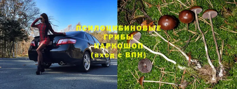 Псилоцибиновые грибы Magic Shrooms  купить  сайты  Крымск 